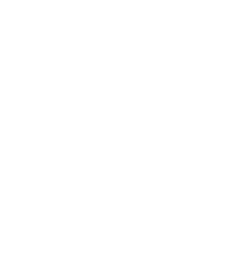 PP Logo Mark